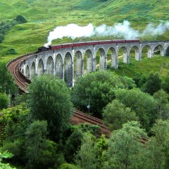 Popular Harry Potter Attraction is Getting Tourists in Trouble
