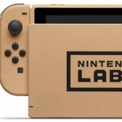 Nintendo Created a Cardboard-Style Switch You Can't Buy