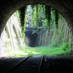 Why There's an Abandoned Railway Encircling Paris Why There's an Abandoned Railway Encircling Paris