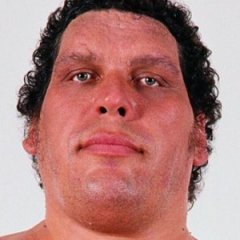 Revisiting the Tall Tales of Andre the Giant Revisiting the Tall Tales of Andre the Giant