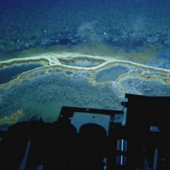 Jacuzzi of Despair Is a Deadly Lake Within the Gulf of Mexico