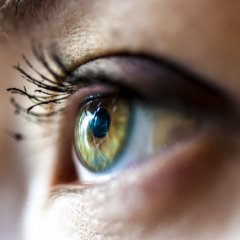 What Your Eyes Can Reveal About Your Health What Your Eyes Can Reveal About Your Health