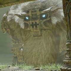 The Best Colossi in 'Shadow of the Colossus' The Best Colossi in 'Shadow of the Colossus'