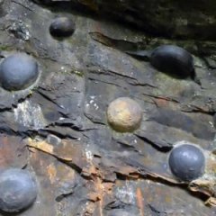The Weird Cliff in China That Regularly 'Lays Eggs' The Weird Cliff in China That Regularly 'Lays Eggs'