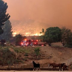 'Westworld' Sweetwater Location at Paramount Ranch Burns Down 'Westworld' Sweetwater Location at Paramount Ranch Burns Down