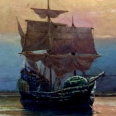 Why the Pilgrims Were Actually Able to Survive Why the Pilgrims Were Actually Able to Survive