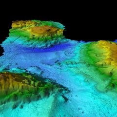 Scientists Discover Underwater 'Lost World' Off Tasmanian Coast