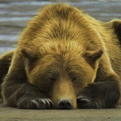 The Stock Market Selloff Is Only Half-Done
