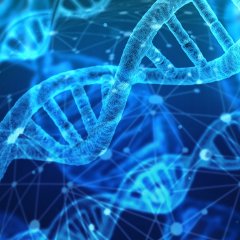 You May Be Surprised How Much DNA Can Reveal About You