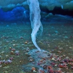 Check Out These Cool 'Underwater Lakes' in Gulf of Mexico
