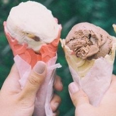 The Best 'Ice Creams' for Those with Lactose Intolerance The Best 'Ice Creams' for Those with Lactose Intolerance