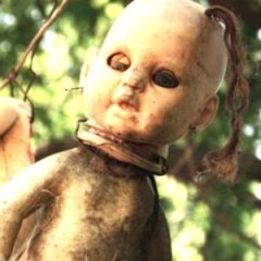 The Island of the Dolls Has a Murky and Terrifying History The Island of the Dolls Has a Murky and Terrifying History