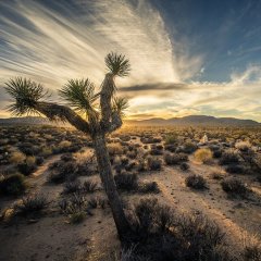 Dreamy Destinations for Your First Trip as a Couple Dreamy Destinations for Your First Trip as a Couple