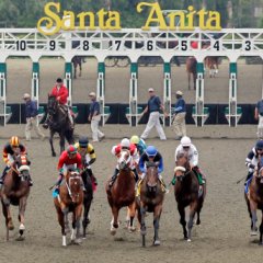 Santa Anita Track Cancels Racing After 21 Horses Die Santa Anita Track Cancels Racing After 21 Horses Die