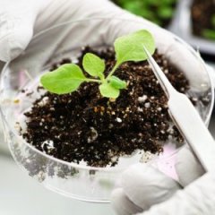 Terrific Biology Experiment Ideas for High School Terrific Biology Experiment Ideas for High School