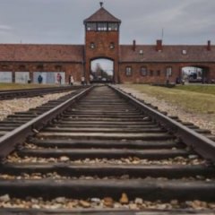 Auschwitz Wants Visitors to Stop Posing on the Railroad Tracks Auschwitz Wants Visitors to Stop Posing on the Railroad Tracks