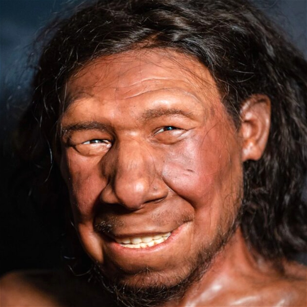 Neanderthals Were A Lot Smarter Than We Give Them Credit For