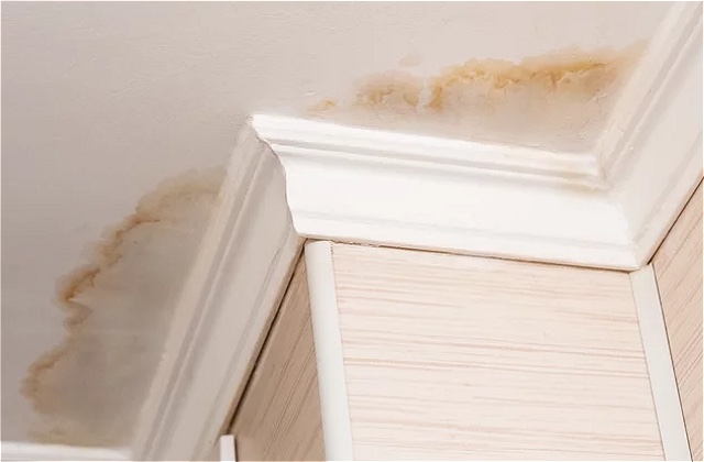 How To Get Rid Of Ugly Water Stains On Your Walls And Ceilings