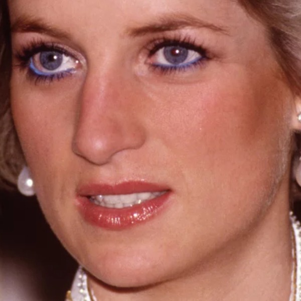 Inside Princess Diana's Alleged Love Affair With Her Bodyguard | Flipboard